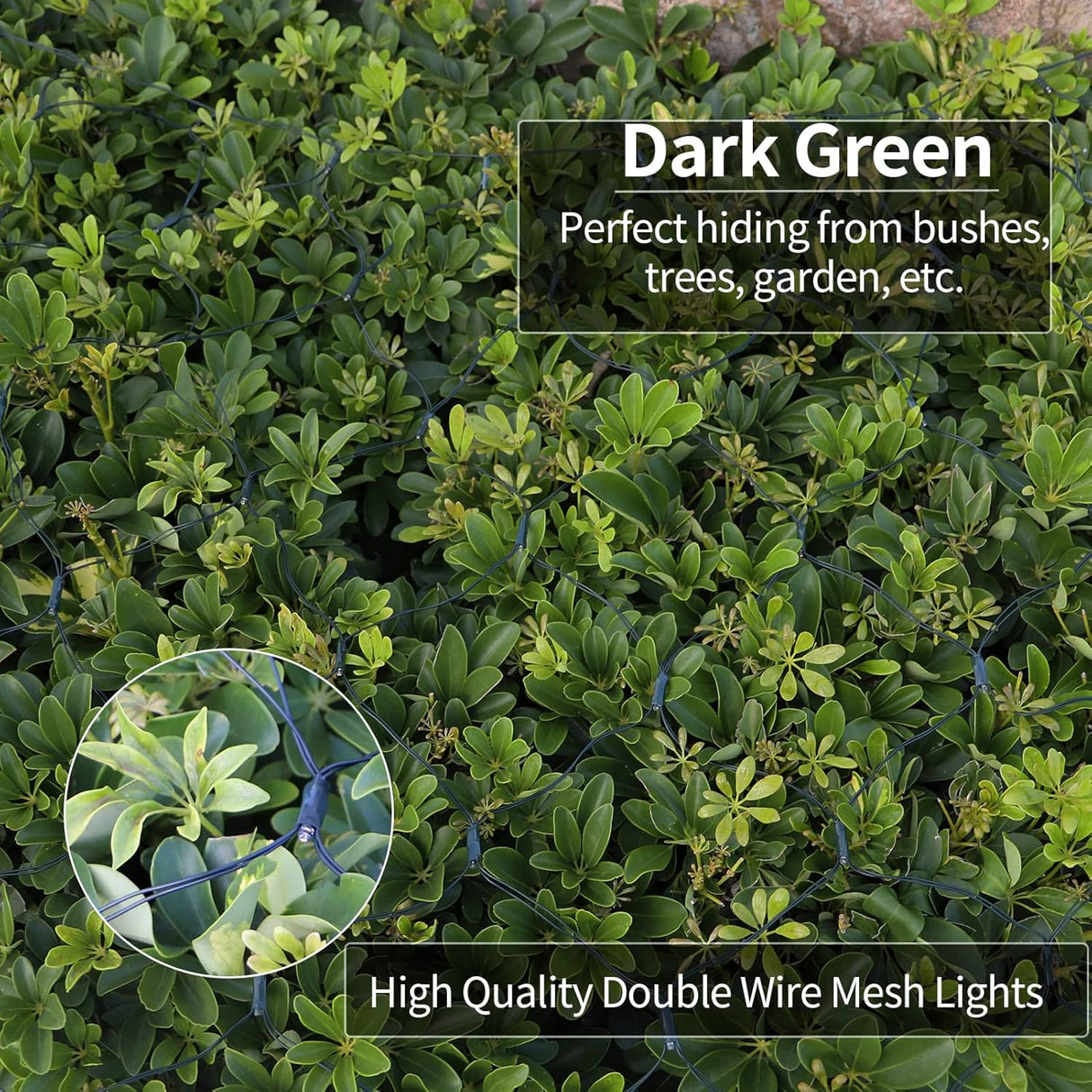 echosari 200 LED 9.8Ft x 6.6Ft Solar Powered Net Lights(Cool White)