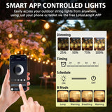 echosari Outdoor G40 String Lights