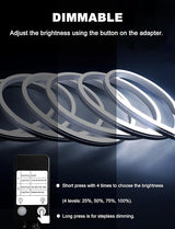echosari Cool White Neon Rope Lights