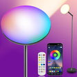 echosari rGB floor lamp with round head, remote and app screen